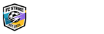 蜘蛛直播